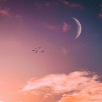 The Moon - Moon