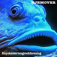 Knyskanes - Hjemover