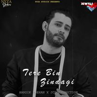 Hardik Trehan - Tere Bin Zindagi