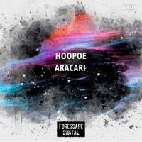Hoopoe - Aracari