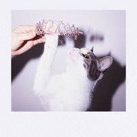Sarah Rose - 27