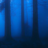 Frisson - Hollow