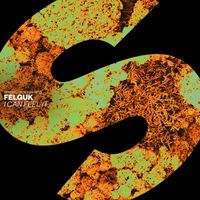 Felguk - I Can Feel It (Extended Mix)