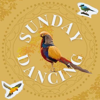 Meike - Sunday Dancing