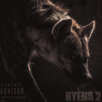 Ay Em - Hyena 2 (Explicit)