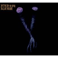 DIR EN GREY - VULGAR