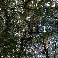 Beaumont - 13 de novembro