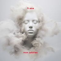 MCM Solution - ti amo