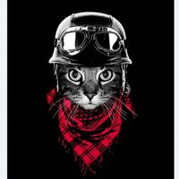 Prana - Sanggupkah (Rock)