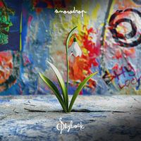 Shylock - Snowdrop