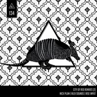 Dhyan Droik - City of Red Remixes