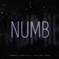 Tommee Profitt, Skylar Grey - Numb