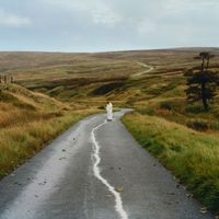 Jordan Rakei - The Loop (Explicit)