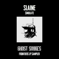 Slaine - Simulate