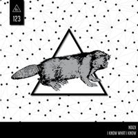 NoizX - I Know What I Know