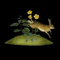 Kate Young - Mountain