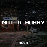 Hush - Not a Hobby (Explicit)