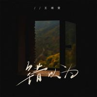 王靖雯 - 错以为