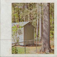 comfort - sapling stories