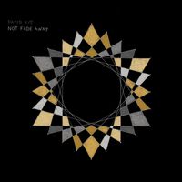 David Kitt - Not Fade Away