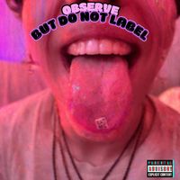 Satori - Observe but Do Not Label (Explicit)