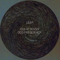 Leap - Attensn / Frequency