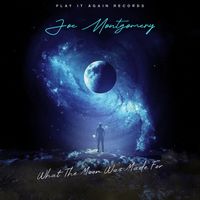 Joe Montgomery - What the Moon Was Made For