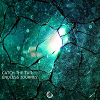 Catch The Tail - Endless Journey