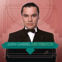 Juan Gabriel - Mis Tributos