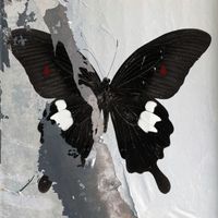 Death Cult - Paradise Now