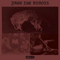 Free The Robots - Datu 2