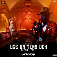 Beenie Man - Use Da Ting Deh (Explicit)