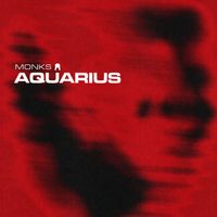 Monks - Aquarius