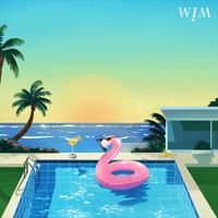 WIM - Mr. Feelgood
