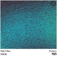 NEKOB - Night T-Rain