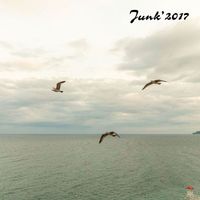 Junk - 2017