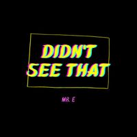 MR. E - Didn't See That