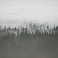 LUKE - Rainy City