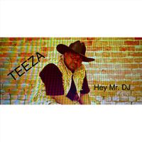 Teeza - Hey Mr. DJ