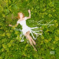 Adoo - Hello goodbye