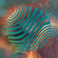 PIRE - Flow del origen