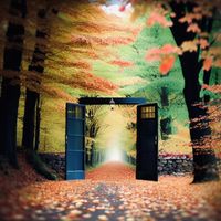 Collin Morell - Go Back