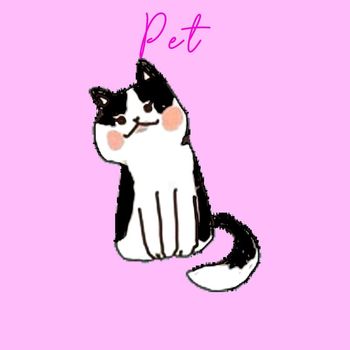 Ding Dong - Pet