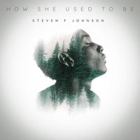 Steven F Johnson - How She Used to Be
