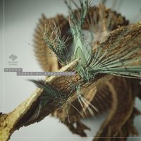 Nuada - Tools Of Perception