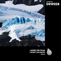James The Plan - I Want You Back (Remixes)