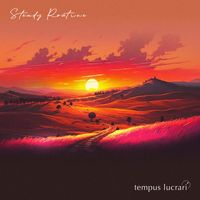 tempus lucrari - Steady Routine