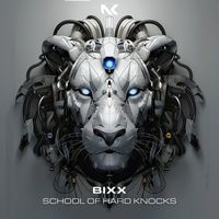 BiXX - School Of Hard Knocks