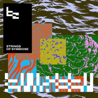 Beau Zwart - Strings of Symbiose