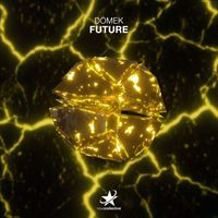 Domek - Future